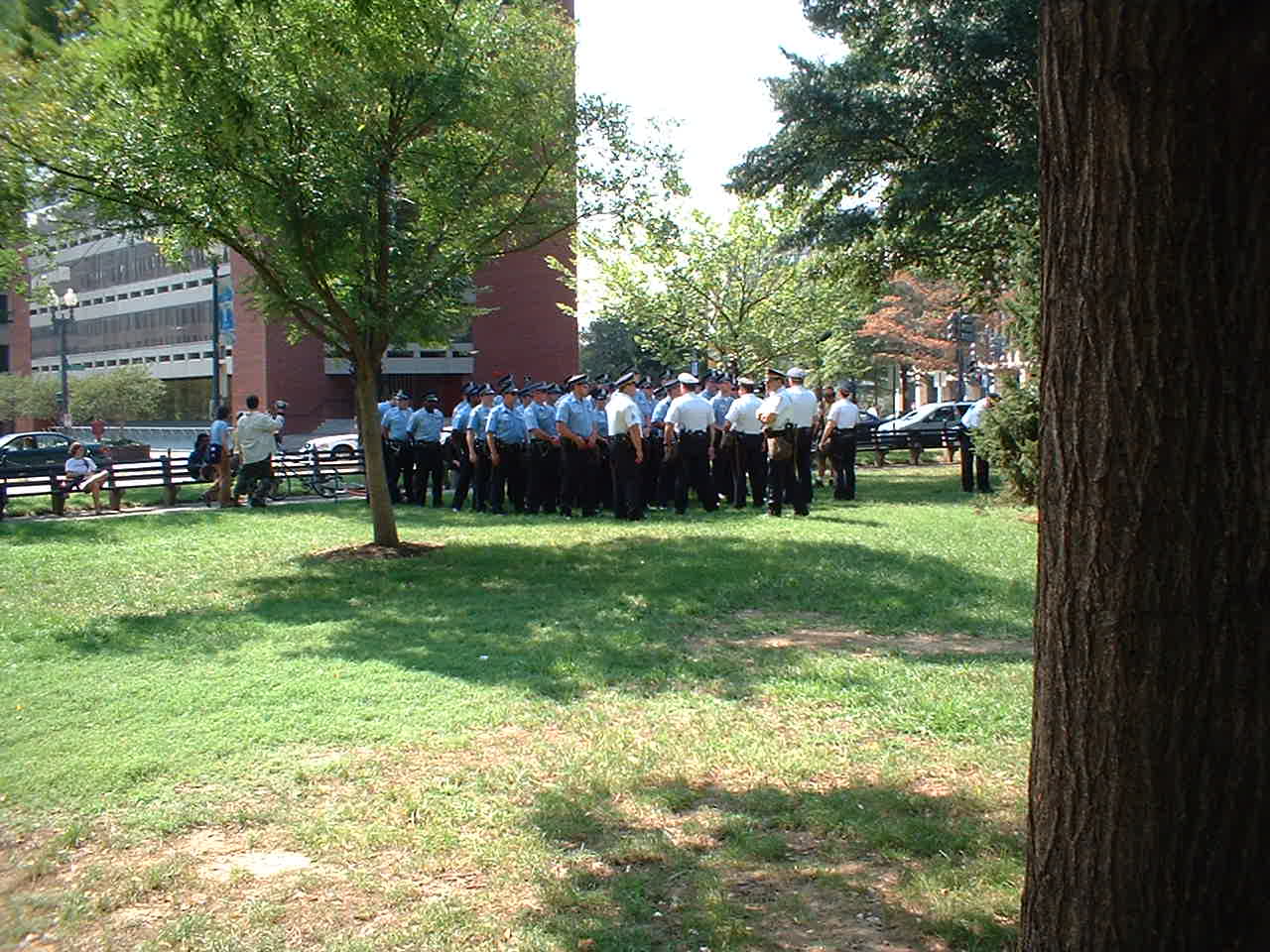 Police assemble on lawn